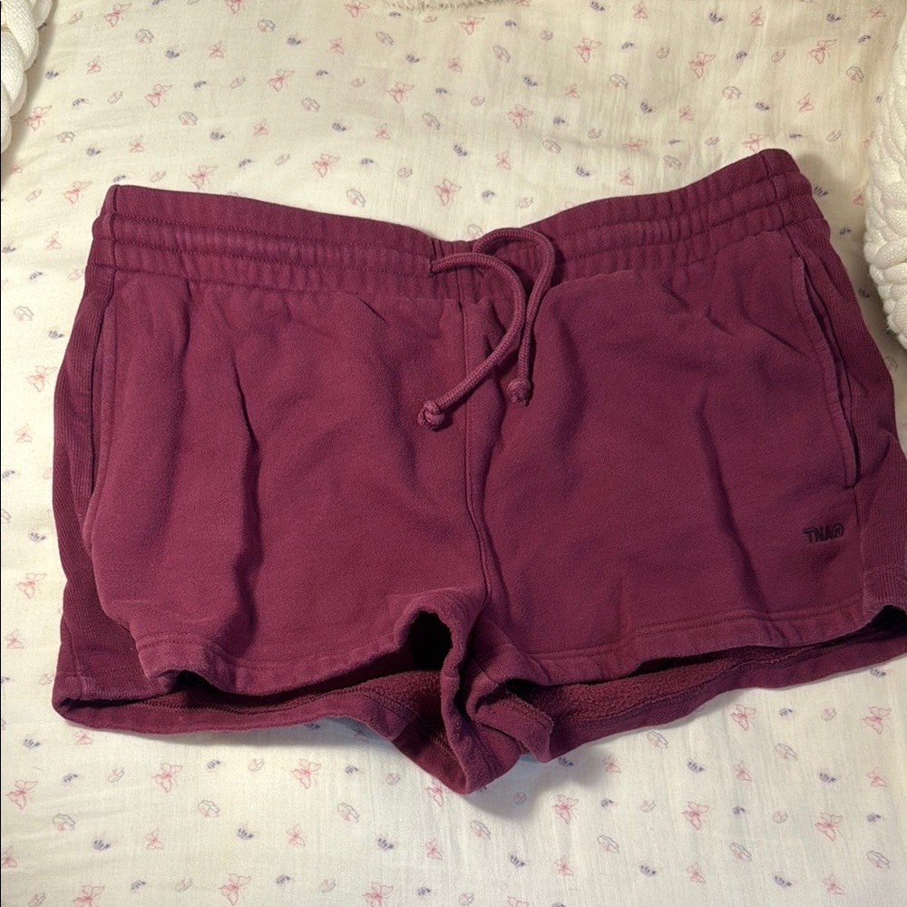 Aritzia TNA Deep Purple Athletic Shorts